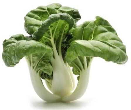 Click Here To Enlarge This Photo Of Fresh Pak Choi 新鮮白菜 300g