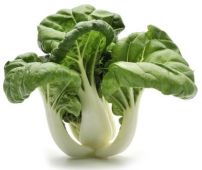 Fresh Pak Choi 新鮮白菜 300g