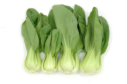 Click Here To Enlarge This Photo Of Fresh Green Shanghai Pak Choi 新鮮上海白菜 400g