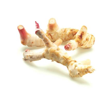 Click Here To Enlarge This Photo Of Fresh Galangal &lpar;Thai Ginger&rpar;