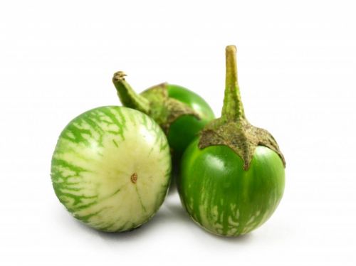 Click Here To Enlarge This Photo Of Fresh Round Thai Eggplant 泰國綠圓茄