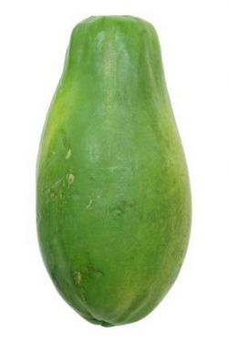 Click Here To Enlarge This Photo Of Fresh Green Papaya 新鮮青木瓜