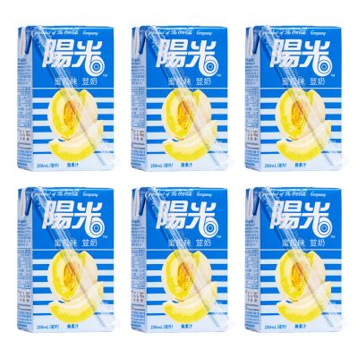Hi-C Melon Flavoured Soya Milk 陽光 蜜瓜味荳奶