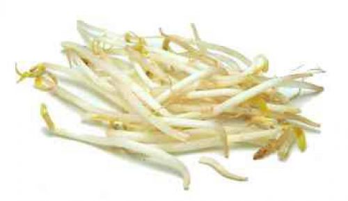 Click Here To Enlarge This Photo Of Fresh Beansprouts 新鮮芽菜 300g