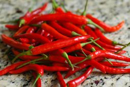 Fresh Red Thai Chili 新鮮紅辣椒