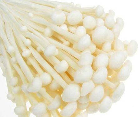 Click Here To Enlarge This Photo Of Lily &lpar;Enoki&rpar; Mushroom 金针菇 200g